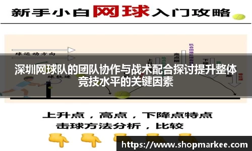 深圳网球队的团队协作与战术配合探讨提升整体竞技水平的关键因素