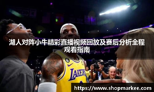 湖人对阵小牛精彩直播视频回放及赛后分析全程观看指南